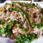 Sabudane ki khichdi Ã‚Â© Copyrighted image